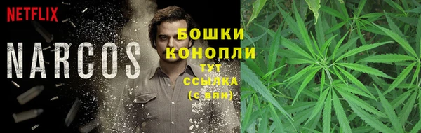 таблы Нея